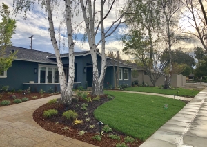 A house with a garden and trees in the background